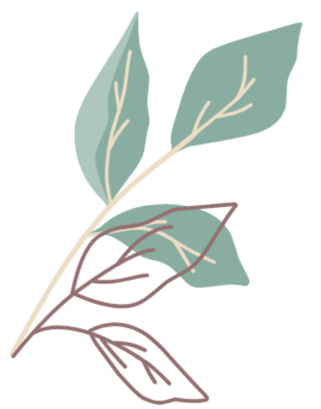 icon1
