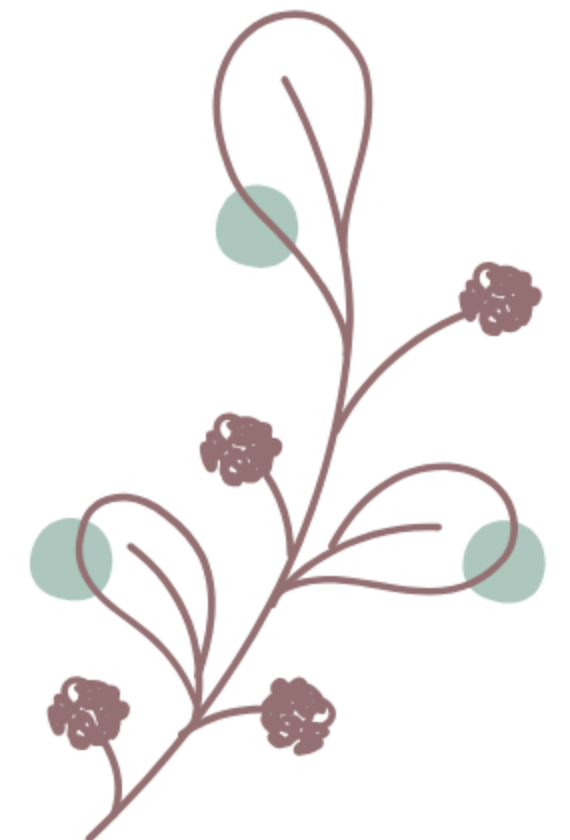 icon2